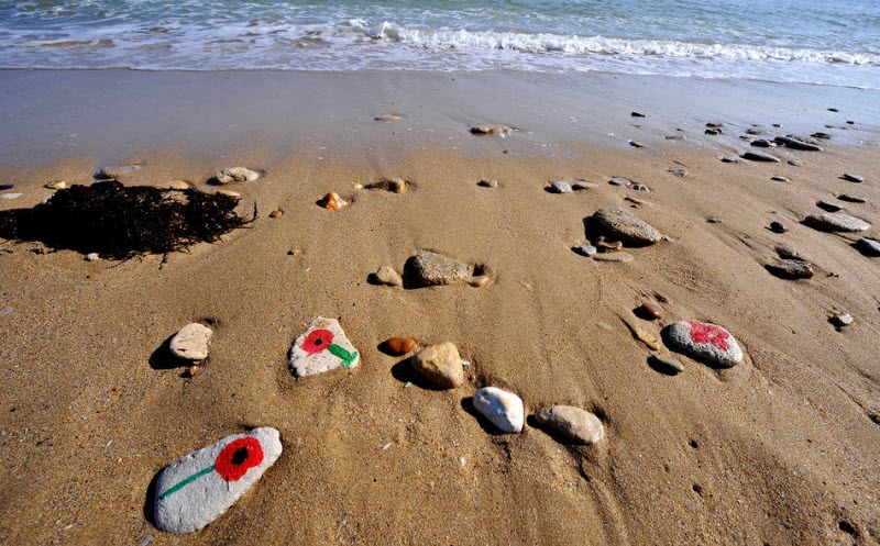 Pebbles with poppies painted on them at Normandy beach ceremony 2009